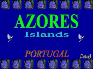 PORTUGAL AZORES Islands D'ont click 