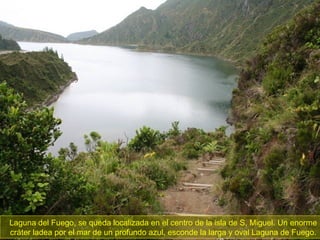 Laguna del Fuego, se queda localizada en el centro de la isla de S, Miguel. Un enorme cráter ladea por el mar de un profundo azul, esconde la larga y oval Laguna de Fuego. 