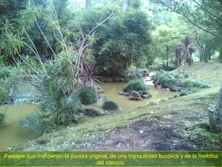 Paisajes que mantienen la pureza original, de una tranquilidad bucólica y de la melodía del silencio. 