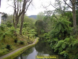 Parque Terra Nostra. 