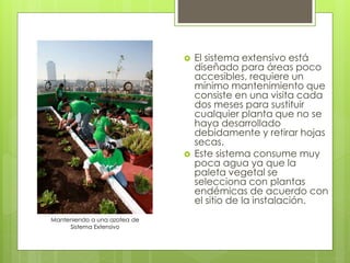  El sistema extensivo está
diseñado para áreas poco
accesibles, requiere un
mínimo mantenimiento que
consiste en una visita cada
dos meses para sustituir
cualquier planta que no se
haya desarrollado
debidamente y retirar hojas
secas.
 Este sistema consume muy
poca agua ya que la
paleta vegetal se
selecciona con plantas
endémicas de acuerdo con
el sitio de la instalación.
Manteniendo a una azotea de
Sistema Extensivo
 