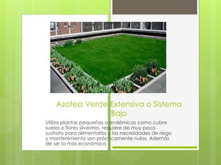 Azotea Verde Extensiva o Sistema
Bajo
Utiliza plantas pequeñas o endémicas como cubre
suelos o flores silvestres, requiere de muy poco
sustrato para alimentarlas y las necesidades de riego
y mantenimiento son prácticamente nulas. Además
de ser la más económica
 