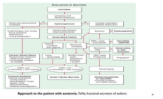 Azotemia and Urinary Abnormalities.pptx you | PPTX