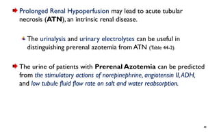Azotemia and Urinary Abnormalities.pptx you | PPTX