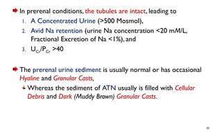 Azotemia and Urinary Abnormalities.pptx you | PPTX