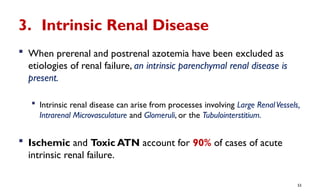 Azotemia and Urinary Abnormalities.pptx you | PPTX