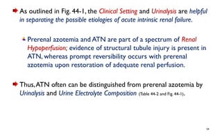 Azotemia and Urinary Abnormalities.pptx you | PPTX