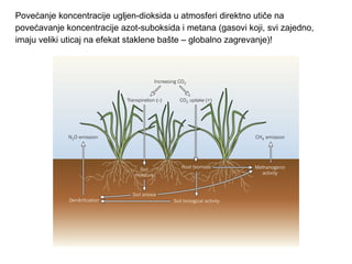 Povećanje koncentracije ugljen-dioksida u atmosferi direktno utiče na 
povećavanje koncentracije azot-suboksida i metana (gasovi koji, svi zajedno, 
imaju veliki uticaj na efekat staklene bašte – globalno zagrevanje)! 
