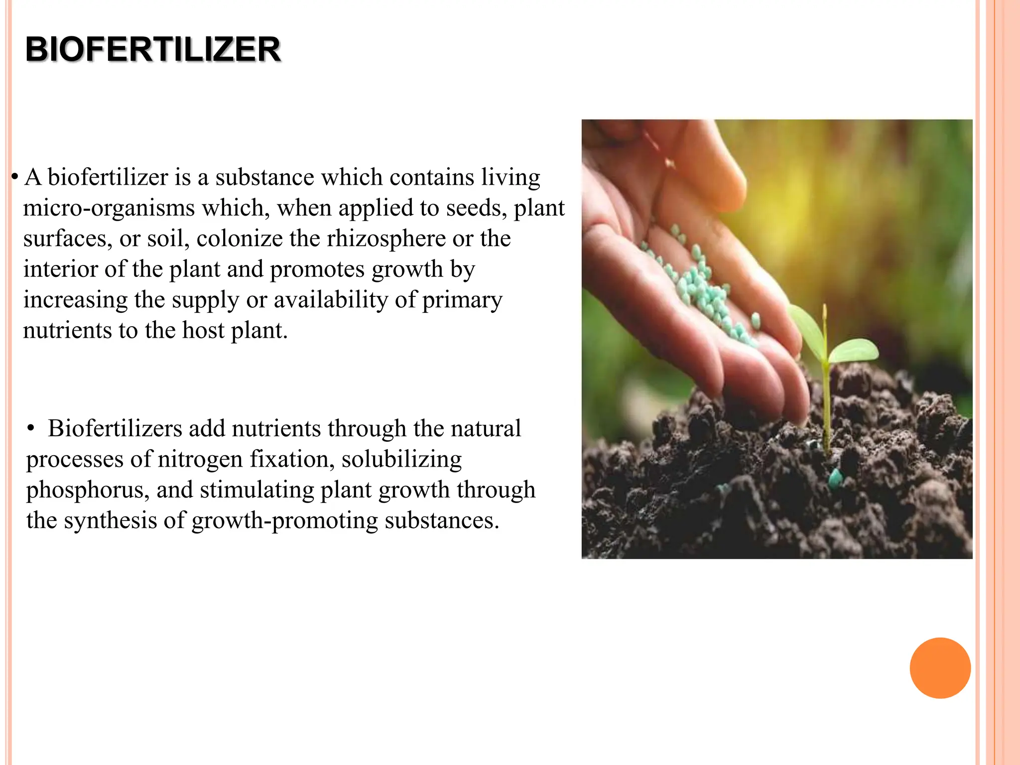 BIOFERTILIZER
• A biofertilizer is a substance which contains living
micro-organisms which, when applied to seeds, plant
surfaces, or soil, colonize the rhizosphere or the
interior of the plant and promotes growth by
increasing the supply or availability of primary
nutrients to the host plant.
• Biofertilizers add nutrients through the natural
processes of nitrogen fixation, solubilizing
phosphorus, and stimulating plant growth through
the synthesis of growth-promoting substances.
 
