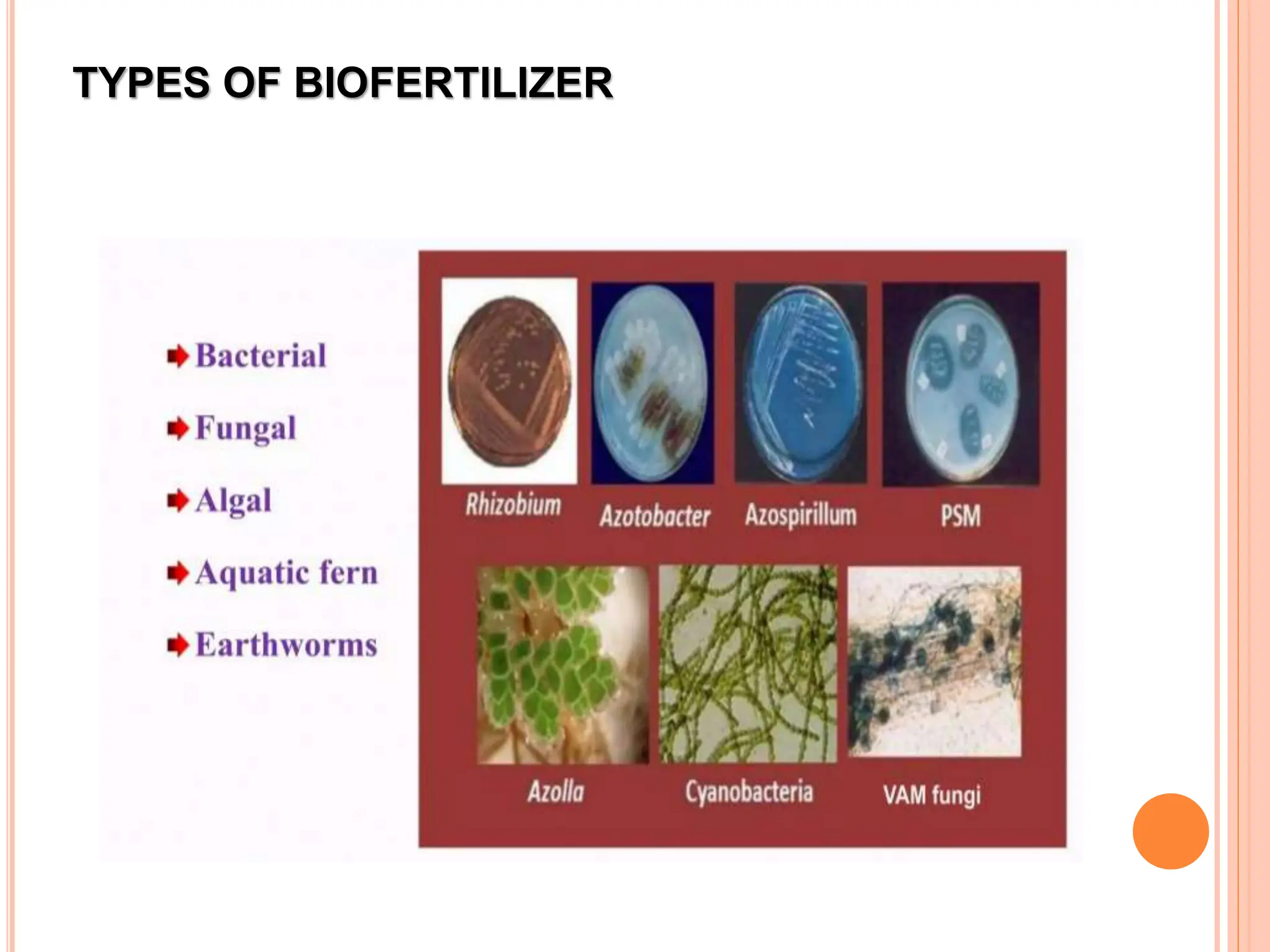 TYPES OF BIOFERTILIZER
 