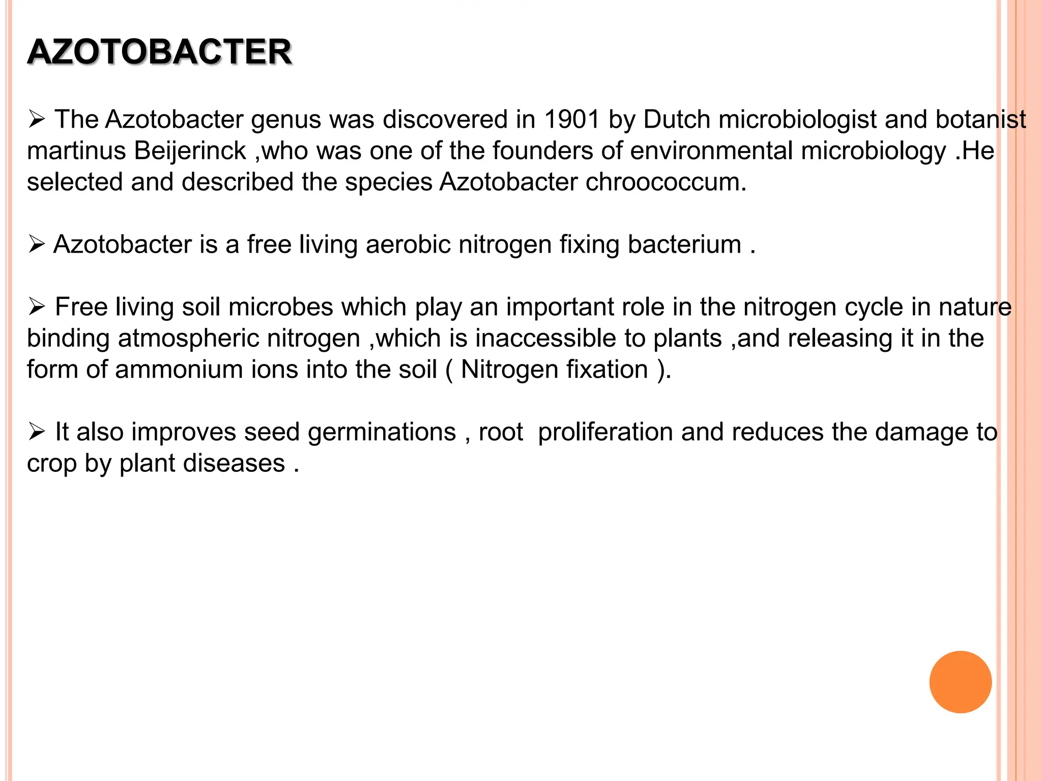 AZOTOBACTER
 The Azotobacter genus was discovered in 1901 by Dutch microbiologist and botanist
martinus Beijerinck ,who was one of the founders of environmental microbiology .He
selected and described the species Azotobacter chroococcum.
 Azotobacter is a free living aerobic nitrogen fixing bacterium .
 Free living soil microbes which play an important role in the nitrogen cycle in nature
binding atmospheric nitrogen ,which is inaccessible to plants ,and releasing it in the
form of ammonium ions into the soil ( Nitrogen fixation ).
 It also improves seed germinations , root proliferation and reduces the damage to
crop by plant diseases .
 