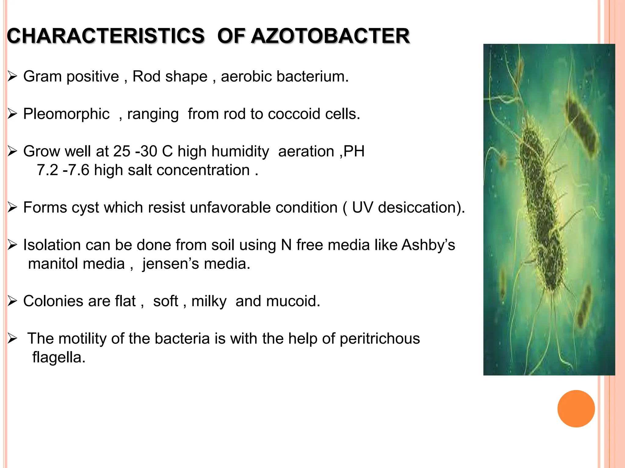 CHARACTERISTICS OF AZOTOBACTER
 Gram positive , Rod shape , aerobic bacterium.
 Pleomorphic , ranging from rod to coccoid cells.
 Grow well at 25 -30 C high humidity aeration ,PH
7.2 -7.6 high salt concentration .
 Forms cyst which resist unfavorable condition ( UV desiccation).
 Isolation can be done from soil using N free media like Ashby’s
manitol media , jensen’s media.
 Colonies are flat , soft , milky and mucoid.
 The motility of the bacteria is with the help of peritrichous
flagella.
 