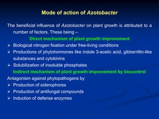 Mode of action of Azotobacter
The beneficial influence of Azotobacter on plant growth is attributed to a
number of factors. These being –
Direct mechanism of plant growth improvement
 Biological nitrogen fixation under free-living conditions
 Productions of phytohormones like indole 3-acetic acid, gibberrillin-like
substances and cytokinins
 Solubilization of insoluble phosphates
Indirect mechanism of plant growth improvement by biocontrol
Antagonism against phytopathogens by
 Production of siderophores
 Production of antifungal compounds
 Induction of defense enzymes
 