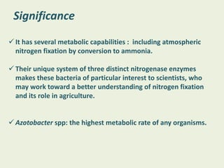 Significance
 It has several metabolic capabilities : including atmospheric
nitrogen fixation by conversion to ammonia.
 Their unique system of three distinct nitrogenase enzymes
makes these bacteria of particular interest to scientists, who
may work toward a better understanding of nitrogen fixation
and its role in agriculture.
 Azotobacter spp: the highest metabolic rate of any organisms.
 