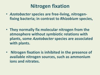 Nitrogen fixation
• Azotobacter species are free-living, nitrogen-
fixing bacteria; in contrast to Rhizobium species,
• They normally fix molecular nitrogen from the
atmosphere without symbiotic relations with
plants, some Azotobacter species are associated
with plants.
• Nitrogen fixation is inhibited in the presence of
available nitrogen sources, such as ammonium
ions and nitrates.
 