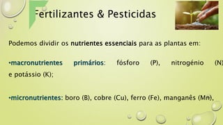 Fertilizantes & Pesticidas
Podemos dividir os nutrientes essenciais para as plantas em:
•macronutrientes primários: fósforo (P), nitrogénio (N)
e potássio (K);
•micronutrientes: boro (B), cobre (Cu), ferro (Fe), manganês (Mn),
 