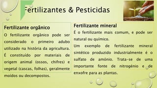 Fertilizantes & Pesticidas
Fertilizante orgânico
O fertilizante orgânico pode ser
considerado o primeiro adubo
utilizado na história da agricultura.
É constituído por materiais de
origem animal (ossos, chifres) e
vegetal (cascas, folhas), geralmente
moídos ou decompostos.
Fertilizante mineral
É o fertilizante mais comum, e pode ser
natural ou químico.
Um exemplo de fertilizante mineral
sintético produzido industrialmente é o
sulfato de amónio. Trata-se de uma
importante fonte de nitrogénio e de
enxofre para as plantas.
 
