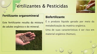 Fertilizantes & Pesticidas
Fertilizante organomineral
Este fertilizante resulta da mistura
do adubo orgânico e do mineral.
Biofertilizante
É o produto líquido gerado por meio da
metabolização da matéria orgânica.
Uma de suas características é ser rico em
material orgânico (húmus),
 