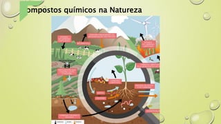 Compostos químicos na Natureza
 