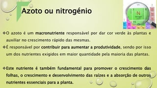 O azoto é um macronutriente responsável por dar cor verde às plantas e
auxiliar no crescimento rápido das mesmas.
É responsável por contribuir para aumentar a produtividade, sendo por isso
um dos nutrientes exigidos em maior quantidade pela maioria das plantas.
Este nutriente é também fundamental para promover o crescimento das
folhas, o crescimento e desenvolvimento das raízes e a absorção de outros
nutrientes essenciais para a planta.
Azoto ou nitrogénio
 