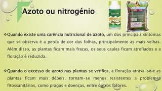 Quando existe uma carência nutricional de azoto, um dos principais sintomas
que se observa é a perda de cor das folhas, principalmente as mais velhas.
Além disso, as plantas ficam mais fracas, os seus caules ficam atrofiados e a
floração é reduzida.
Quando o excesso de azoto nas plantas se verifica, a floração atrasa-se e as
plantas ficam mais débeis, tornam-se menos resistentes a problemas
fitossanitários, como pragas e doenças, entre outros fatores.
Azoto ou nitrogénio
 