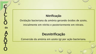 Nitrificação
Oxidação bacteriana da amónia gerando óxidos de azoto,
inicialmente em nitrito e posteriormente em nitrato.
Desnitrificação
Conversão da amónia em azoto (g) por ação bacteriana.
C
I
C
L
O
do
A
Z
O
T
O
 
