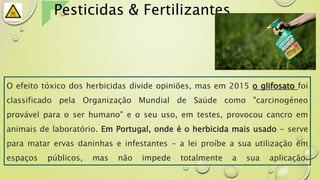 O efeito tóxico dos herbicidas divide opiniões, mas em 2015 o glifosato foi
classificado pela Organização Mundial de Saúde como "carcinogéneo
provável para o ser humano" e o seu uso, em testes, provocou cancro em
animais de laboratório. Em Portugal, onde é o herbicida mais usado - serve
para matar ervas daninhas e infestantes - a lei proíbe a sua utilização em
espaços públicos, mas não impede totalmente a sua aplicação.
Pesticidas & Fertilizantes
 