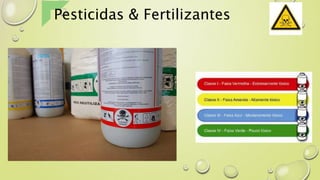 Pesticidas & Fertilizantes
 