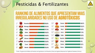 Pesticidas & Fertilizantes
 