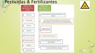 Pesticidas & Fertilizantes
 