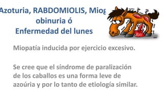 Azoturia, RABDOMIOLIS, Mioglobinuria óEnfermedad del lunes Miopatía inducida por ejercicio excesivo. Se cree que el síndrome de paralización de los caballos es una forma leve de azoúria y por lo tanto de etiología similar. 