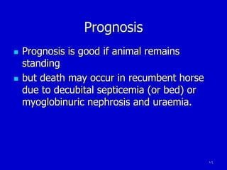16
Prognosis
 Prognosis is good if animal remains
standing
 but death may occur in recumbent horse
due to decubital septicemia (or bed) or
myoglobinuric nephrosis and uraemia.
 