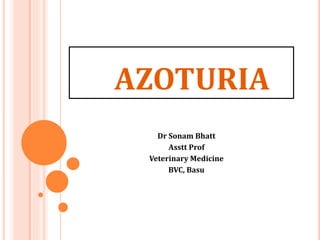 AZOTURIA
Dr Sonam Bhatt
Asstt Prof
Veterinary Medicine
BVC, Basu
 