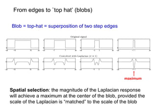 From edges to `top hat’ (blobs)

Blob = top-hat = superposition of two step edges




                                                    maximum


Spatial selection: the magnitude of the Laplacian response
will achieve a maximum at the center of the blob, provided the
scale of the Laplacian is “matched” to the scale of the blob
 