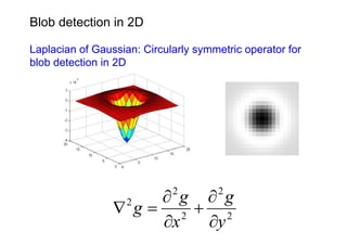 Blob detection in 2D

Laplacian of Gaussian: Circularly symmetric operator for
blob detection in 2D




                     ∂ g ∂ g 2        2
                 ∇ g= 2 + 2
                    2

                     ∂x  ∂y
 