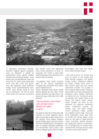 7
ez hipotekatzea garrantzitsua deritzogu.
Izarraitzen magalean egoteak, berdegunea
izatea eta industriarik ez egoteak eta
ekipamenduak bertan egoteak Esklabak
(ikastola izan zena) Ikasberri Ikastola... honek
guztiak izaera eta ikusmolde bat ematen dio
eremu honi. 92. urtetik, arauek ekipamendu
izaera eman diote eremu honi guztiari.
Gaur egun ekipamentu bezala kalifikatuta
badago, herriak ekipamenduetarako eremu
berriak behar dituelako izango da. Gaur
edo eta etorkizunean. Eta hori da eremu
honek herrian bete izan duen eta betetzen
duen funtzioa. Eremu honi ekipamendu
izaera kentzea planteatzen ari denak zer
proposatzen du? Herriak ez duela behar
ekipamenduetarako lurrik etorkizunean? Eta
baiezkoa bada non bestela?
•Corrugadosek labea herritik ateratzeko
egiten ari den inbertsio ekonomikoak
Corrugados bera urteetarako herriari lotzeko
aukera ahalbideratzen du.
Gainera, Martxielgo labeak aterata hainbat
hektarea libratuko dira herri erdian. Herriko
industria garrantzitsu bat dago tartean. Urte
askoan izan dugu ametsa labea herri erditik
ateratzeko.
Gaur gaurkoz aukera hau martxan dago. Alde
zaharretik eta herriko erdigunetik gertuen
dugun eremua dugu eta labea aterata eremu
hori askatzeak herrian ditugun berdegune
apurrak (Esklaba ingurua kasu) bere horretan
mantentzeaahalbideratzendu.Corrugadoseko
labea eta bulegoak Badiolegira lekualdatuta
eta Frantziskanetako eremua gehituz, zortzi
hektarea erabilgarri geratzen dira herri erdian.
Garmendipeko zortzi futbol zelai adinako
eremu batetaz hitz egiten ari gara.
•Leku Ederrek presio eta mehatxu gisa
sartu eta sartzen ari den helegite guzti
horiek hamaika eragozpen sortu dizkiete
hainbat herritarri (Etxebeltzen adibidez)
eta Udalari. Helegite hauen atzean ez
dago arauetan gaizki egin diren gauzak
konpontzeko arrazoirik, bere gustuko ez
diren erabakiak aldatzea baizik. Helegiteen
presioen bidez sortu duen arazoarekin udal
ordezkarien jarrera politikoa baldintzatu
eta aldarazi nahi du. Promotoreen presio
eta txantaiari aurre egiteko modua ez da
beraiek nahi dutena ematea. Herriak,
udalak, burujabe izan behar du bere
ordenazioa eta etorkizuna erabakitzeko
orduan. Promotoreen presioen eta
mehatxu hauei men egiten badiegu,
herrian etorkizunera begira, aurrekari
oso negatiboa ezartzen dugu. Arazo guzti
honen konponbidea oinarri legal sendo
eta iraunkor bat emango diguten arauak
egitea da. Hau egiten ez dugun bitartean
-arauen prozedurak akatsak dituelako-,
beti egongo gara edonoren mehatxupean.
Eta are gehiago presio eta mehatxu egiten
dutenak beraiek nahi dutena lortzen duten
aurrekaria ezartzen bada Azpeitian.
“Garmendipeko zortzi futbol
zelai adinako eremu
batetaz hitz egiten
ari gara”.
 