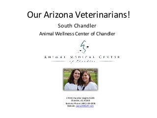 Our Arizona Veterinarians!
South Chandler
Animal Wellness Center of Chandler
270 W Chandler Heights Rd #3
Chandler, AZ, 85248
Business Phone: (480) 339-0406
Website: www.AMCofC.com
 