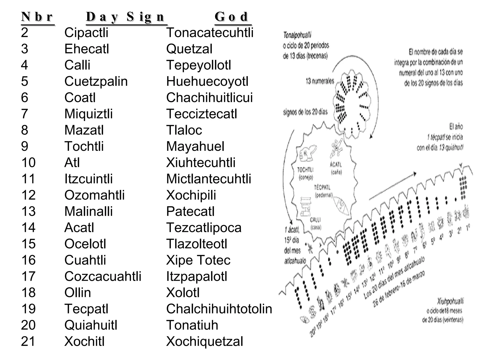 Nbr   Day Sign God Cipactli Tonacatecuhtli Ehecatl Quetzal Calli Tepeyollotl Cuetzpalin Huehuecoyotl Coatl Chachihuitlicui Miquiztli Tecciztecatl Mazatl Tlaloc Tochtli Mayahuel Atl Xiuhtecuhtli Itzcuintli Mictlantecuhtli Ozomahtli Xochipili Malinalli Patecatl Acatl Tezcatlipoca Ocelotl Tlazolteotl Cuahtli Xipe Totec Cozcacuahtli Itzpapalotl Ollin Xolotl Tecpatl Chalchihuihtotolin Quiahuitl Tonatiuh Xochitl Xochiquetzal 