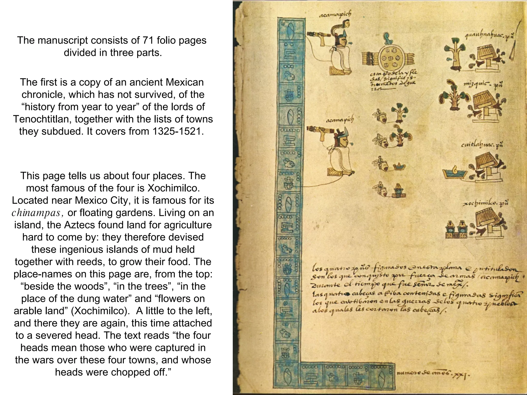 The manuscript consists of 71 folio pages divided in three parts. The first is a copy of an ancient Mexican chronicle, which has not survived, of the “history from year to year” of the lords of Tenochtitlan, together with the lists of towns they subdued. It covers from 1325-1521.  This page tells us about four places. The most famous of the four is Xochimilco. Located near Mexico City, it is famous for its  chinampas,  or floating gardens. Living on an island, the Aztecs found land for agriculture hard to come by: they therefore devised these ingenious islands of mud held together with reeds, to grow their food. The place-names on this page are, from the top: “beside the woods”, “in the trees”, “in the place of the dung water” and “flowers on arable land” (Xochimilco).  A little to the left, and there they are again, this time attached to a severed head. The text reads “the four heads mean those who were captured in the wars over these four towns, and whose heads were chopped off.” 