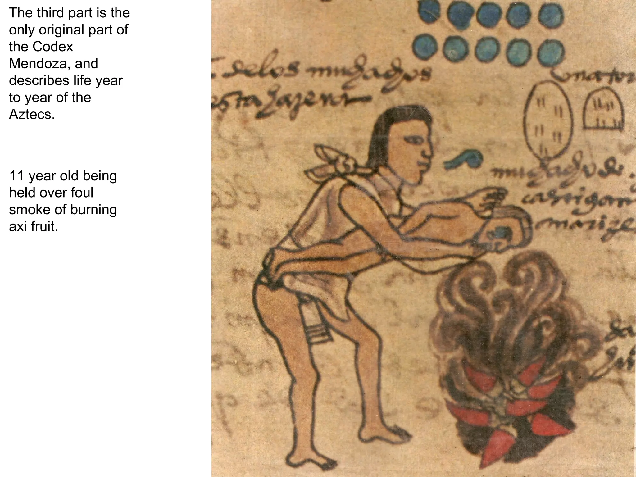 The third part is the only original part of the Codex Mendoza, and describes life year to year of the Aztecs.  11 year old being held over foul smoke of burning axi fruit.  