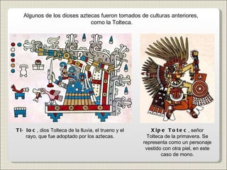 Tláloc , dios Tolteca de la lluvia, el trueno y el rayo, que fue adoptado por los aztecas. Xipe Totec , señor Tolteca de la primavera. Se representa como un personaje vestido con otra piel, en este caso de mono. Algunos de los dioses aztecas fueron tomados de culturas anteriores,  como la Tolteca. 