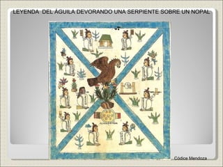 LEYENDA  DEL ÁGUILA DEVORANDO UNA SERPIENTE SOBRE UN NOPAL Códice Mendoza 