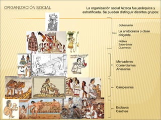 La organización social Azteca fue jerárquica y estratificada. Se pueden distinguir distintos grupos: Gobernante Nobles Sacerdotes Guerreros Mercaderes Comerciantes Artesanos Campesinos La aristocracia o clase dirigente Esclavos  Cautivos 