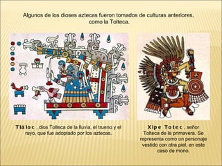 Tláloc , dios Tolteca de la lluvia, el trueno y el rayo, que fue adoptado por los aztecas. Xipe Totec , señor Tolteca de la primavera. Se representa como un personaje vestido con otra piel, en este caso de mono. Algunos de los dioses aztecas fueron tomados de culturas anteriores,  como la Tolteca. 