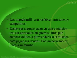 • Los macehualli: eran orfebres, artesanos y 
campesinos 
• Esclavos: algunos caían en esta condición 
tras ser apresados en guerras, otros por 
cometer delitos o por venderse a sí mismos 
para pagar sus deudas. Podían permanecer 
junto a su familia. 
 
