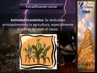 Estratificación social
Actividad Económica: Se dedicaban
principalmente a la agricultura, especialmente
al cultivo del maíz el cacao.
 