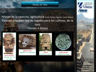 Modos de Vida
•Vivian de la cosecha, agricultura (maiz, frijoles, algodón, cacao tabaco)
Poseían una gran red de regadío para los cultivos, de la
caza
•Tenían 4 dioses
 