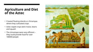 Aztec Civilization basic information and | PPTX