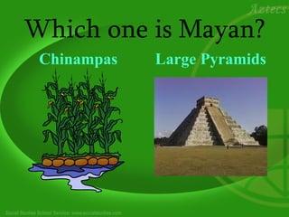Which one is Mayan?
 Chinampas   Large Pyramids
 