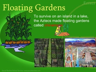 Floating Gardens
       To survive on an island in a lake,
       the Aztecs made floating gardens
       called chinampas.
 
